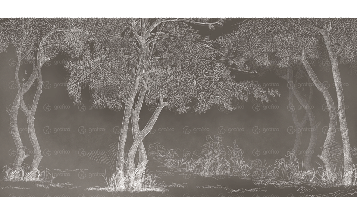 ID008-9-bg