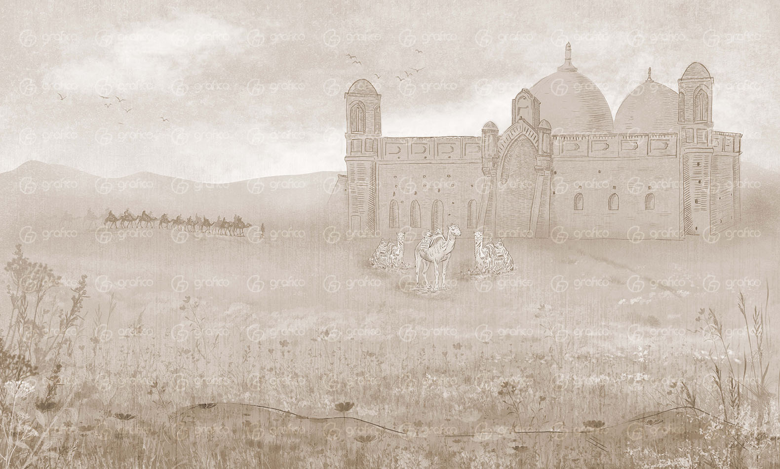 ID004-3-bg