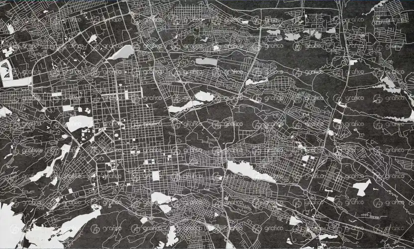 ID009-1-gr